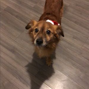 Meet your Posher, Marcus